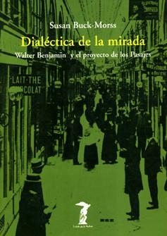 DIALECTICA DE LA MIREDA | 9788477745792 | BUCK-MORSS | Llibreria La Gralla | Llibreria online de Granollers