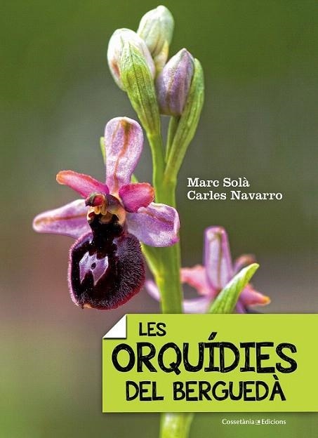 ORQUÍDIES DEL BERGUEDÀ, LES | 9788490343289 | SOLÀ, MARC/NAVARRO, CARLES | Llibreria La Gralla | Llibreria online de Granollers