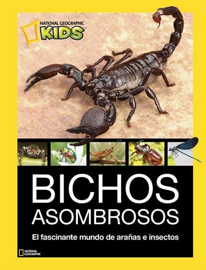 BICHOS ASOMBROSOS | 9788482986098 | VV.AA | Llibreria La Gralla | Llibreria online de Granollers