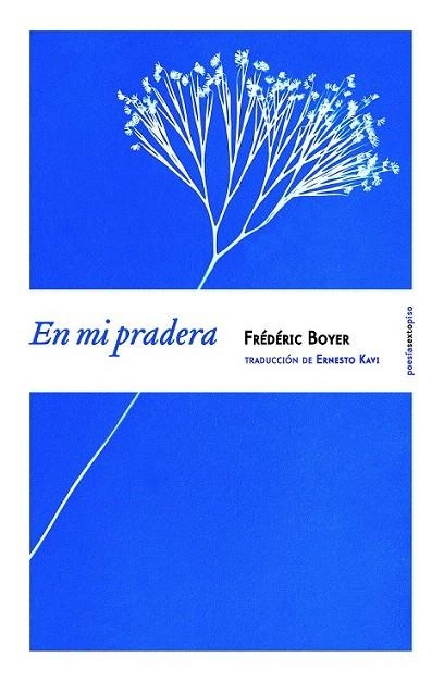 EN MI PRADERA (BILINGÜE) | 9788416358038 | BOYER, FRÉDÉRIC | Llibreria La Gralla | Llibreria online de Granollers