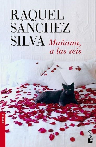 MAÑANA A LAS SEIS (BOLSILLO) | 9788408140498 | SÁNCHEZ SILVA, RAQUEL | Llibreria La Gralla | Llibreria online de Granollers