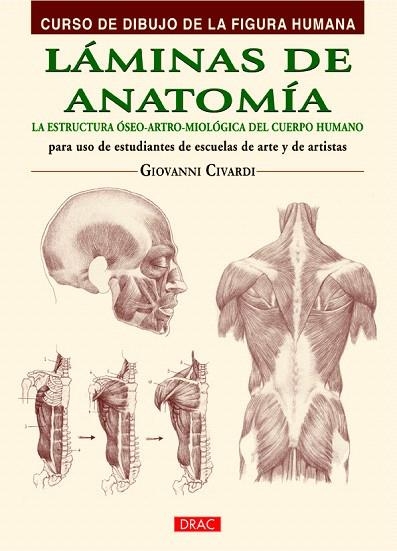 LAMINAS DE ANATOMIA | 9788498744798 | CIVARDI, GIOVANNI | Llibreria La Gralla | Librería online de Granollers