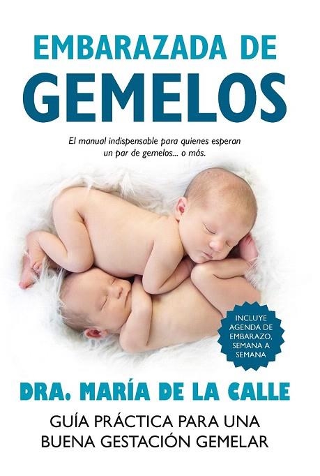 EMBARAZADA DE GEMELOS | 9788416002351 | FERNÁNDEZ, MARÍA DE LA CALLE | Llibreria La Gralla | Llibreria online de Granollers