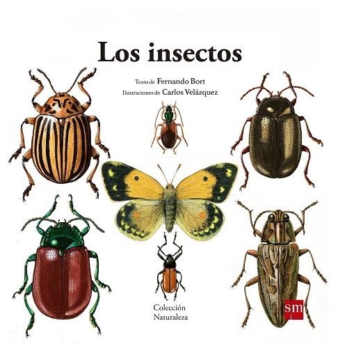 INSECTOS, LOS  | 9788467577617 | BORT MISOL, FERNANDO | Llibreria La Gralla | Llibreria online de Granollers