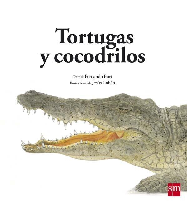 TORTUGAS Y COCODRILOS | 9788467582567 | BORT MISOL, FERNANDO | Llibreria La Gralla | Llibreria online de Granollers