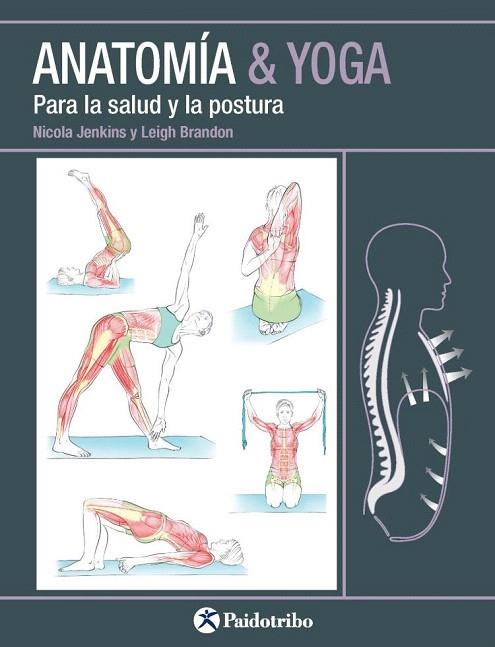 ANATOMIA Y YOGA PARA LA SALUD Y LA POSTURA | 9788499106618 | JENKINS, NICOLA; BRANDON, LEIGH | Llibreria La Gralla | Llibreria online de Granollers