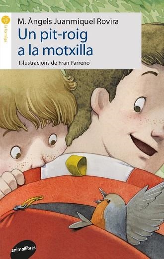 UN PIT-ROIG A LA MOTXILLA | 9788416844098 | JUANMIQUEL ROVIRA, M. ÀNGELS | Llibreria La Gralla | Llibreria online de Granollers