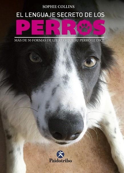 LENGUAJE SECRETO DE LOS PERROS, EL | 9788499106656 | COLLINS, SOPHIE | Llibreria La Gralla | Llibreria online de Granollers