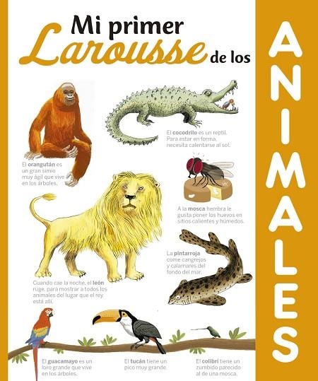 MI PRIMER LAROUSSE DE LOS ANIMALES | 9788416641321 | VVAA | Llibreria La Gralla | Llibreria online de Granollers