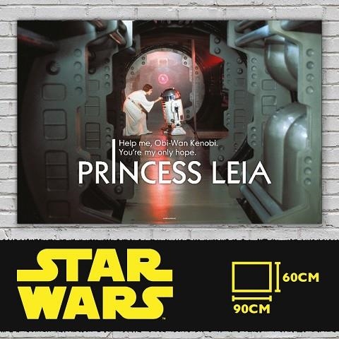 LEIA HELP ME POSTER VIDRIO STAR WARS A NEW HOPE | 8435450202162 | SD TOYS | Llibreria La Gralla | Llibreria online de Granollers