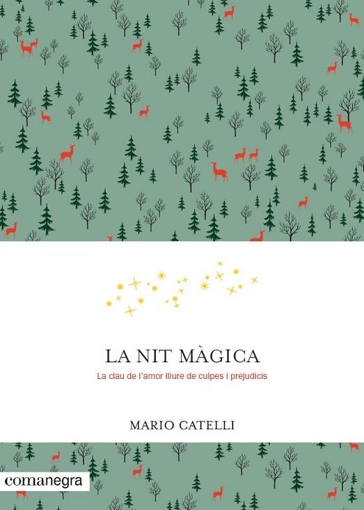 NIT MÀGICA, LA | 9788416605552 | CATELLI, MARIO | Llibreria La Gralla | Llibreria online de Granollers