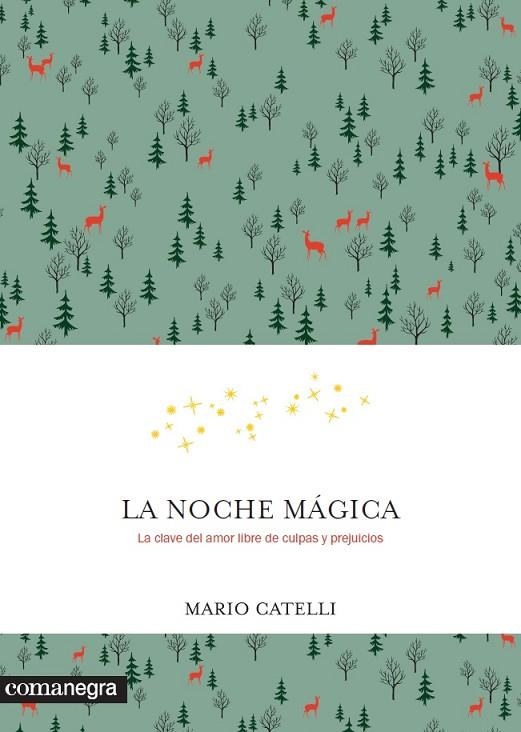 NOCHE MÁGICA, LA | 9788416605569 | CATELLI, MARIO | Llibreria La Gralla | Llibreria online de Granollers