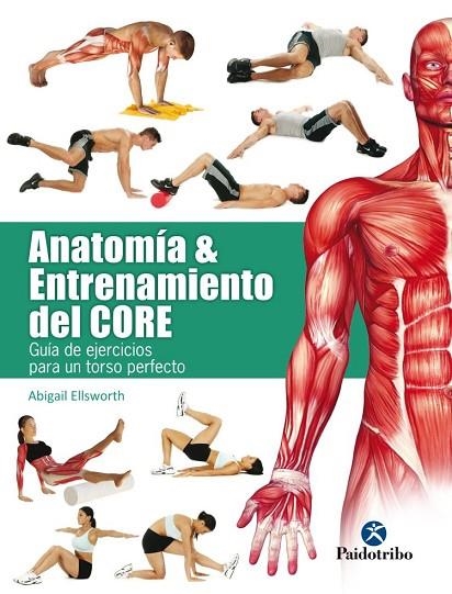 ANATOMÍA & ENTRENAMIENTO DEL CORE | 9788499106069 | ELLSWORTH, ABIGAIL | Llibreria La Gralla | Llibreria online de Granollers