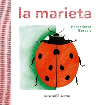 MARIETA, LA  | 9788426143877 | GERVAIS, BERNADETTE | Llibreria La Gralla | Llibreria online de Granollers