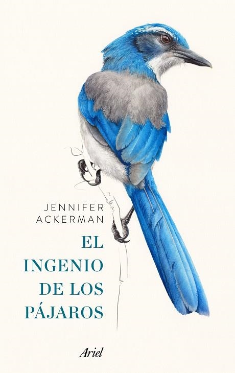 INGENIO DE LOS PÁJAROS, EL | 9788434425262 | ACKERMAN, JENNIFER  | Llibreria La Gralla | Llibreria online de Granollers