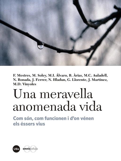 MERAVELLA ANOMENADA VIDA, UNA | 9788447540310 | VVAA | Llibreria La Gralla | Llibreria online de Granollers