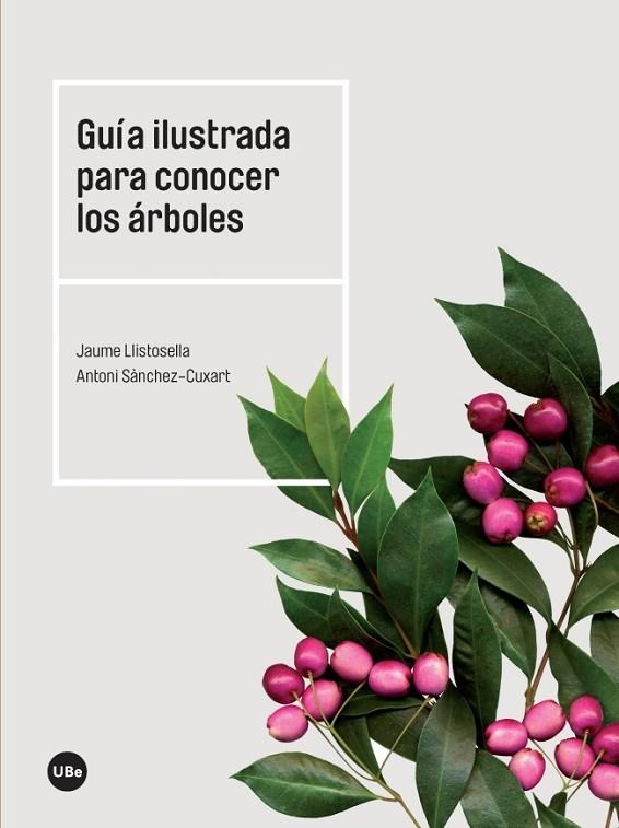 GUIA ILUSTRADA PARA CONOCER LOS ARBOLES | 9788447540754 | LLISTOSELLA, JAUME; SANCHEZ, ANTONI | Llibreria La Gralla | Librería online de Granollers