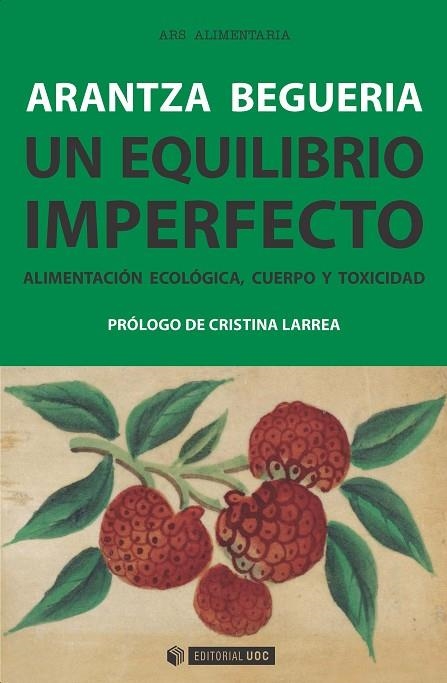 EQUILIBRIO IMPERFECTO, UN | 9788491163015 | BEGUERIA MUñOZ, ARANTZA | Llibreria La Gralla | Llibreria online de Granollers