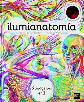 ILUMIANATOMIA | 9788467594201 | DAVIES, KATE | Llibreria La Gralla | Llibreria online de Granollers