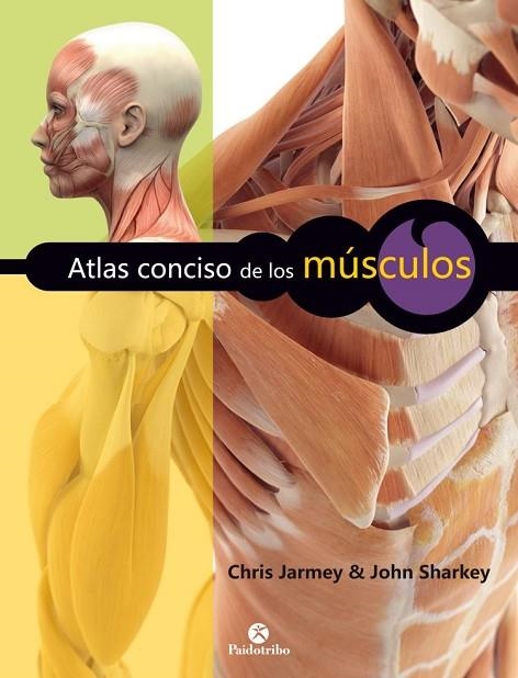 ATLAS CONCISO DE LOS MÚSCULOS (COLOR) | 9788499106045 | JARMEY, CHRIS/SHARKEY, JOHN | Llibreria La Gralla | Llibreria online de Granollers