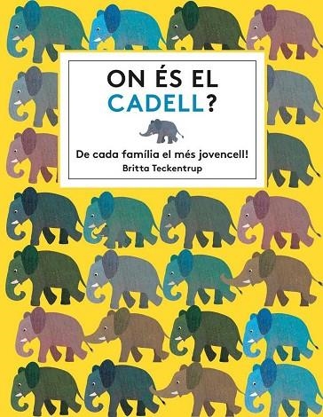 ON ÉS EL CADELL? | 9788494681561 | HAWORTH, KATIE | Llibreria La Gralla | Llibreria online de Granollers