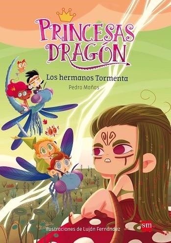 PRINCESAS DRAGON 5. LOS HERMANOS TORMENTA | 9788491073116 | MAÑAS ROMERO, PEDRO | Llibreria La Gralla | Llibreria online de Granollers