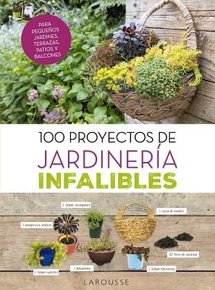 100 PROYECTOS DE JARDINERÍA INFALIBLES | 9788416984725 | DELVAUX, CATHERINE | Llibreria La Gralla | Llibreria online de Granollers