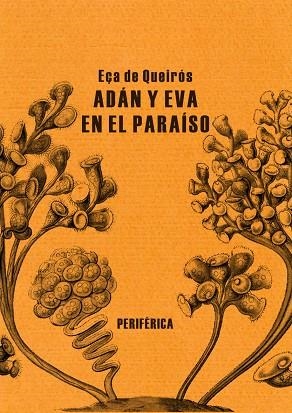 ADÁN Y EVA EN EL PARAÍSO | 9788492865444 | QUEIROS, EÇA DE | Llibreria La Gralla | Librería online de Granollers