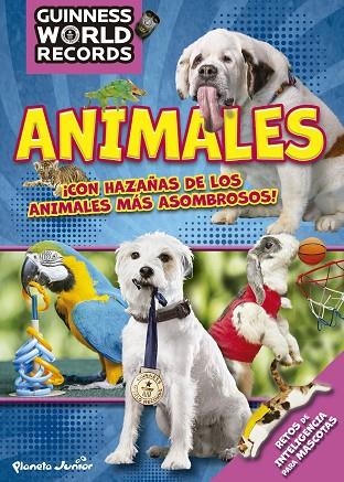 GUINNESS WORLD RECORDS. ANIMALES | 9788408186878 | GUINNESS WORLD RECORDS | Llibreria La Gralla | Librería online de Granollers