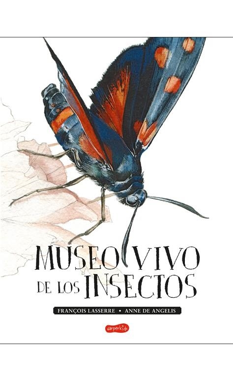 MUSEO VIVO DE LOS INSECTOS | 9788417222123 | LASSERRE, FRANÇOIS | Llibreria La Gralla | Llibreria online de Granollers