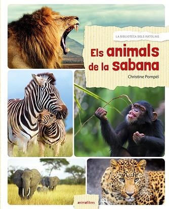 ANIMALS DE LA SABANA, ELS | 9788416844524 | POMPÉÏ, CHRISTINE | Llibreria La Gralla | Librería online de Granollers