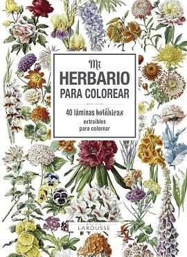 MI HERBARIO PARA COLOREAR | 9788416984749 | VVAA | Llibreria La Gralla | Llibreria online de Granollers