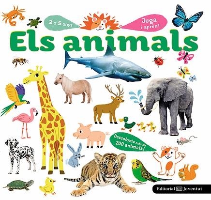 ANIMALS, ELS | 9788426145376 | JUGLA, CÉCILE | Llibreria La Gralla | Librería online de Granollers