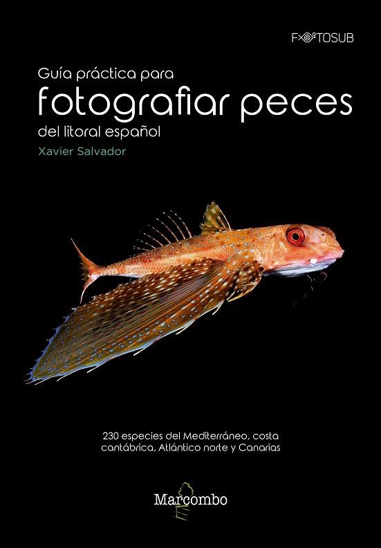 GUÍA PRÁCTICA PARA FOTOGRAFÍAR PECES DEL LITORAL ESPAÑOL | 9788426726315 | SALVADOR, XAVIER | Llibreria La Gralla | Librería online de Granollers
