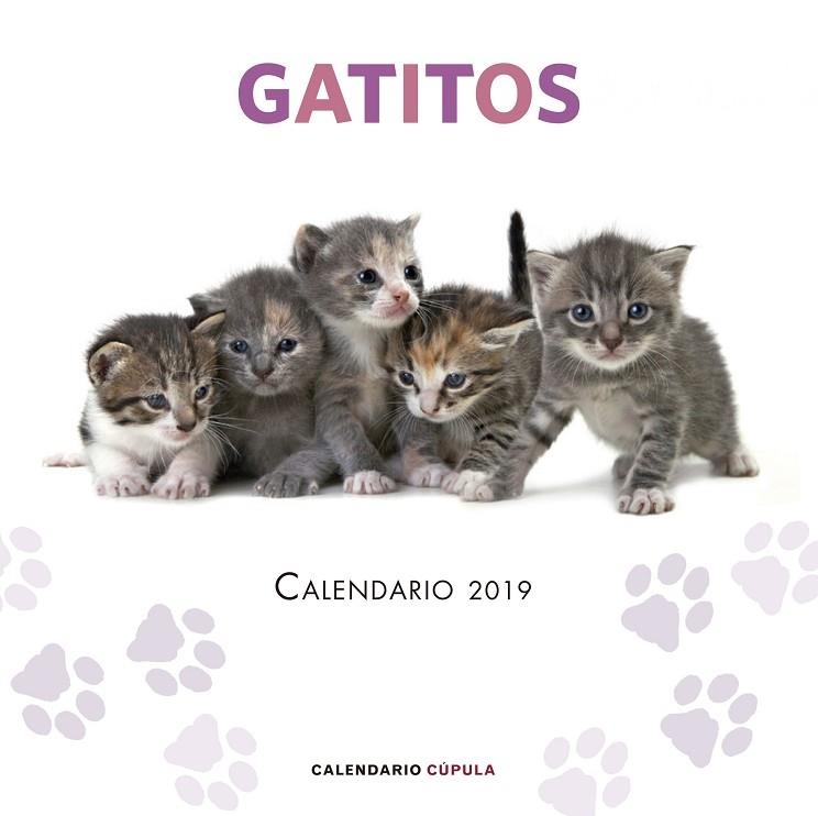 CALENDARIO GATITOS 2019 | 9788448024659 | AA. VV. | Llibreria La Gralla | Llibreria online de Granollers