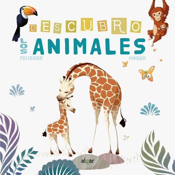 DESCUBRO LOS ANIMALES | 9788491422082 | PELISSIER, JÉRÔME; HINDER, CARINE | Llibreria La Gralla | Llibreria online de Granollers