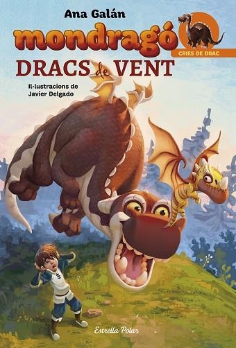 MONDRAGÓ DRACS DE VENT | 9788491376378 | GALÁN, ANA | Llibreria La Gralla | Librería online de Granollers