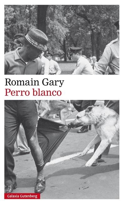 PERRO BLANCO | 9788417355586 | GARY, ROMAIN | Llibreria La Gralla | Librería online de Granollers