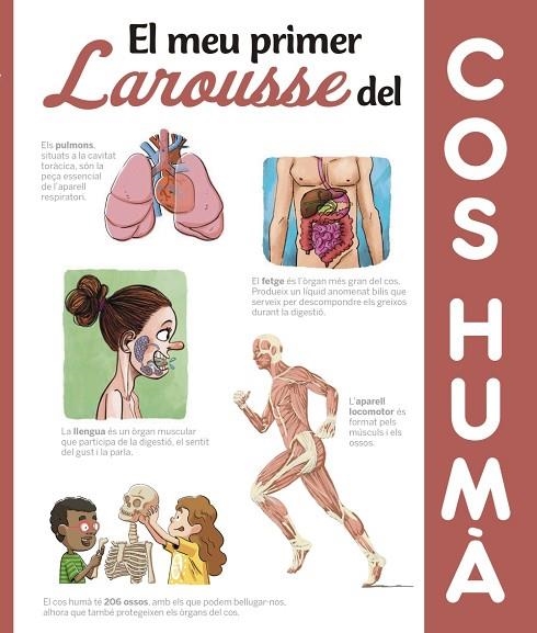 MEU PRIMER LAROUSSE DEL COS HUMÀ, EL | 9788417273606 | LAROUSSE EDITORIAL | Llibreria La Gralla | Llibreria online de Granollers