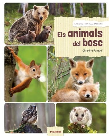 ANIMALS DEL BOSC, ELS | 9788417599027 | POMPEÏ, CHRISTINE | Llibreria La Gralla | Librería online de Granollers