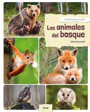 ANIMALES DEL BOSQUE, LOS  | 9788491421573 | POMPEÏ, CHRISTINE | Llibreria La Gralla | Librería online de Granollers