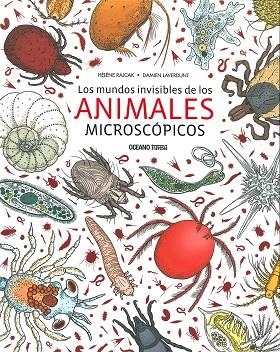MUNDOS INVISIBLES DE LOS ANIMALES MICROCÓPICOS, LOS | 9786075272726 | RAJCAK, HÉLÈNE/LAVERDUNT, DAMIEN | Llibreria La Gralla | Llibreria online de Granollers