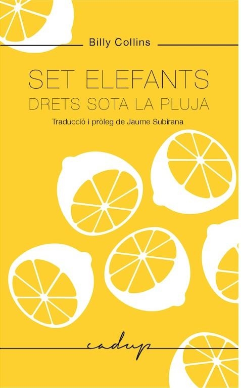 SET ELEFANTS DRETS SOTA LA PLUJA | 9788494943218 | COLLINS, BILLY | Llibreria La Gralla | Librería online de Granollers