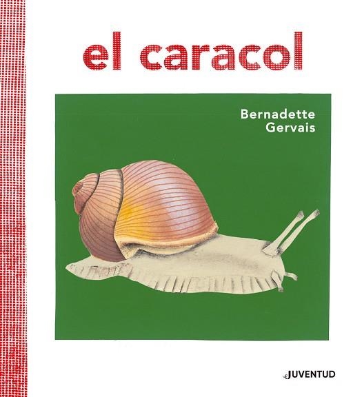 CARACOL, EL | 9788426145673 | BERNADETTE GERVAIS | Llibreria La Gralla | Librería online de Granollers