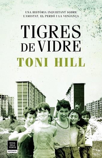 TIGRES DE VIDRE (BUTXACA) | 9788417444747 | HILL, TONI | Llibreria La Gralla | Librería online de Granollers