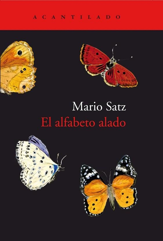 ALFABETO ALADO, EL | 9788417346638 | SATZ, MARIO | Llibreria La Gralla | Librería online de Granollers