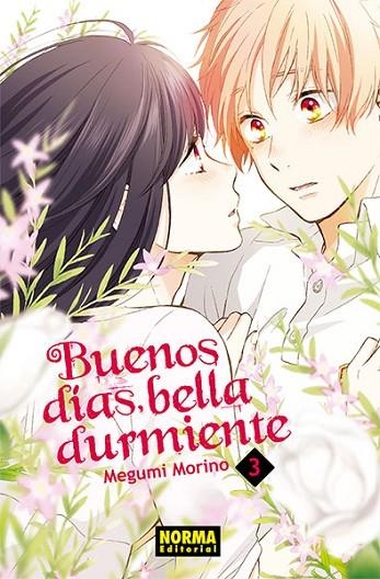 BUENOS DÍAS  BELLA DURMIENTE 3 | 9788467935387 | MORINO, MEGUMI  | Llibreria La Gralla | Llibreria online de Granollers