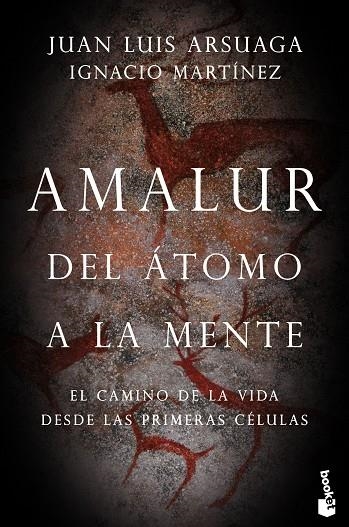 AMALUR | 9788423355365 | ARSUAGA, JUAN LUIS; MARTÍNEZ, IGNACIO | Llibreria La Gralla | Librería online de Granollers
