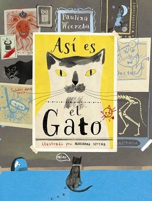 ASÍ ES EL GATO | 9788494992605 | WIERZBA, PAULINA | Llibreria La Gralla | Llibreria online de Granollers