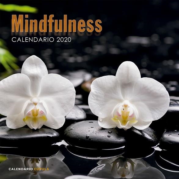 CALENDARIO MINDFULNESS 2020 | 9788448026110 | AA. VV. | Llibreria La Gralla | Librería online de Granollers